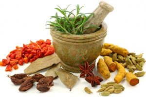 आयुर्वेदिक औषधि वितरण शुरु
