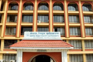 बिजुलीको भाउ घट्यो