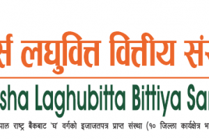 स्पर्स लघुवित्तको नाफा बढ्यो, प्रतिशेयर आम्दानी ३०.७४ रुपैयाँ