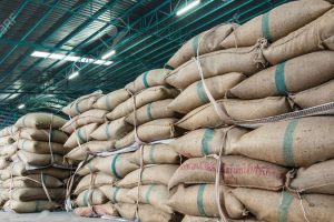 चार ठाउँमा नयाँ डिपो थप