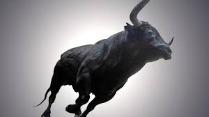 लगानीकर्ताको ध्यान हाइड्रोको शेयरमा