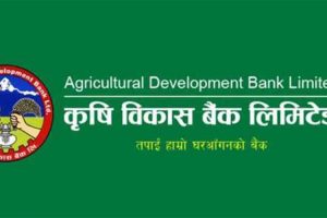 कृषि विकास बैंकको नाफा घट्दा अन्य सूचक यस्तो देखियो