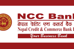 एनसीसी बैंकद्वारा लाभांश घोषणा, बोनस र नगद कति ?