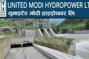 युनाइटेड मोदी हाइड्रोपावरले नगद लाभांश बाढ्ने