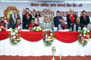 एनसीसी बैंकको १०.८१% लाभांश पारित