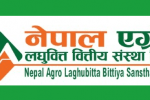 नेपाल एग्रो लघुवित्तको नाफा र जगेडामा उछाल, ईपीएस कति ?