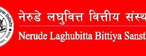 नेरुडे लघुवित्तको लाभांश सुरक्षित गर्ने आज अन्तिम दिन