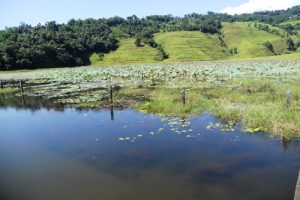 ‘लेखनाथ खाष्टेताल जाऔँ प्रकृति र संस्कृतिमा रमाऔँ’