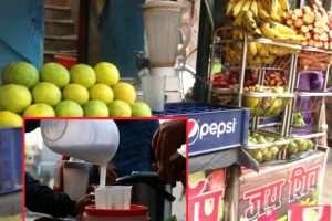 फलफूल पसलमा अनुगमन