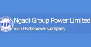 ङादी ग्रुप पावरको नाफा र जगेडा कोषमा उछाल