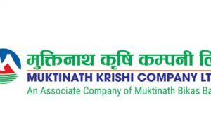 मुक्तिनाथ कृषि कम्पनीले साधारण शेयर निष्काशन गर्ने, बिक्री प्रबन्धक नियुक्ती सम्पन्न