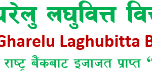 समता घरेलु लघुवित्तको नाफा घट्दा अन्य सूचकहरु कस्ता?