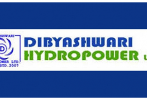 दिव्यश्वरी हाइड्रोपावरको नाफामा ७४.८७%को गिरावट