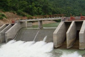 रिडी पावर कम्पनीको बम्पर लाभांश घोषणा