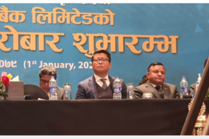 कुमारी बैंकको अध्यक्षमा  अमिर प्रताप   राणा
