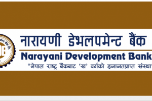 नारायणी डेभलपमेन्ट बैंक घाटामा