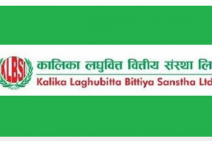 कालिका लघुवित्तद्धारा लाभांश घोषणा