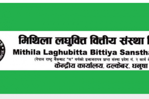 मिथिला लघुवित्तको नाफामा गिरावट