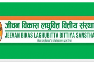 जीवन विकास लघुवित्तको सच्चिएपछिको मुख्य वित्तीय सूचक