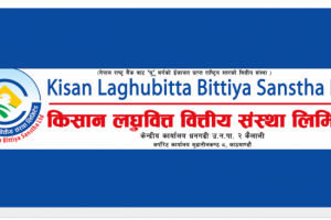 किसान लघुवित्तको नाफामा पहिरो