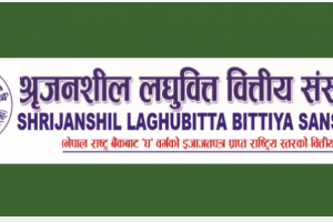 श्रृजनशील लघुवित्तको ४९.४८%ले घट्यो नाफा