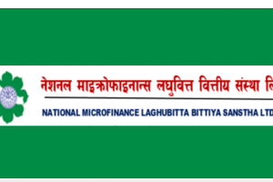 माइक्रोफाइनान्सद्धारा सेयरको मूल्य समायोजन