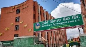 कृषि विकास बैंकको लाभांश घोषणा