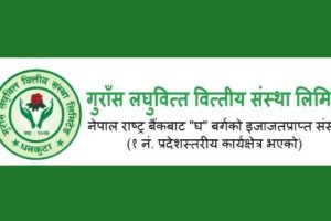 नाफासँगै बढ्यो गुराँस लघुवित्तको प्रतिशेयर आम्दानी