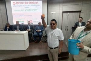 हिमालयन बैंकको एफपीओ बाँडफाँड