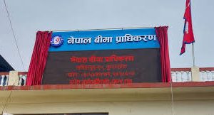 नेपाल बीमा प्राधिकरणको अध्यक्ष सिफारिसका लागि तीन सदस्यीय समिति गठन