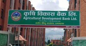 कृषि विकास बैंकको नाफामा करिब ९७ प्रतिशतले गिरावट