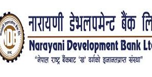 नारायणी डेभलपमेन्ट बैंकको १.९३ लाख कित्ता संस्थापक सेयर बिक्रीमा