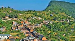 सात महिनामा बन्दीपुरमा ५२ हजारभन्दा बढी विदेशी–आन्तरिक पर्यटक