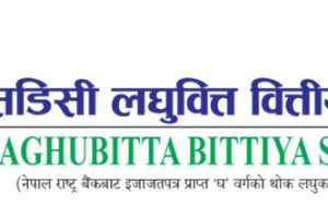आरएसडिसी लघुवित्तको ४८ हजारभन्दा बढी संस्थापक सेयर बिक्रीमा