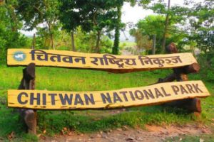 निकुञ्जमा पर्यटक आगमन वृद्धि, राजस्व पनि बढ्यो