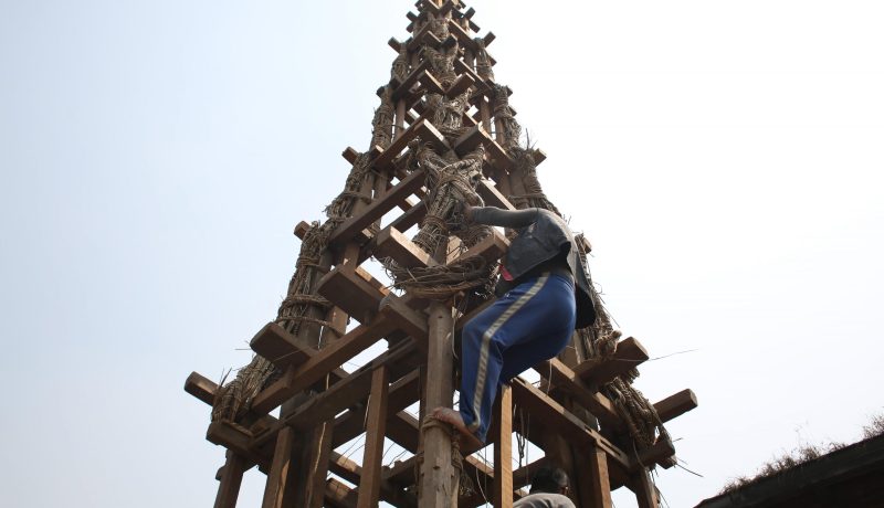 सेतो मच्छिन्द्रनाथ जात्राको तयारी तीव्र, रथ निर्माण अन्तिम चरणमा