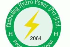 याम्बालिङ्ग हाइड्रोपावरको आईपीओ बाँडफाँड