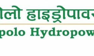 एपोलो हाइड्रोपावरको आईपीओ बाँडफाँड, ७८ हजारले पाए १० कित्ता