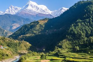 म्याग्दीखोलामा ६५ मेगावाटको जलविद्युत् आयोजना निर्माण सुरु