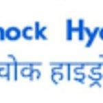 कालिञ्चोक हाईड्रोपावरको सेयर रजिष्ट्रारमा आरबिबि मर्चेन्ट बैंकिङ नियुक्त