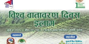 कुमारी बैंकद्धारा ईलाममा वृक्षारोपण कार्यक्रम