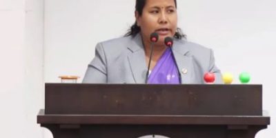 चिया किसान र श्रमिकको समस्या समाधान गर्न सरकारलाई समितिको निर्देशन