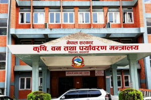 साउनभित्र २ लाख १० हजार मेट्रिक टन रासायनिक मल भित्र्याइँदै