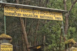 शिवपुरी–नागार्जुन राष्ट्रिय निकुञ्जमा ई–टिकेटिङ सेवा सुरु हुने