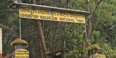 शिवपुरी–नागार्जुन राष्ट्रिय निकुञ्जमा ई–टिकेटिङ सेवा सुरु हुने