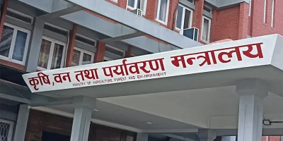 स्वच्छ र सुरक्षित मासुका लागि सरकारले कडाइ गर्दै, वधशाला ऐन चरणबद्ध लागू हुने
