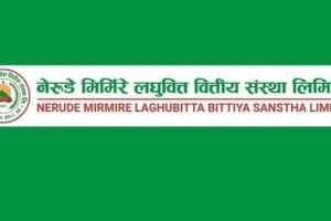 क्वोरम नपुग्दा नेरुडे मिर्मिरे लघुवित्तको वार्षिक साधारण सभा स्थगित