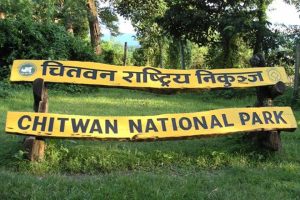 चितवन राष्ट्रिय निकुञ्जले वन्यजन्तुबाट भएको क्षतिबापत १ करोड ३० लाख रुपैयाँ राहत वितरण