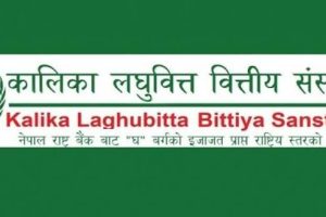 कालिका लघुवित्तको नाफा ३०४ प्रतिशतले बढ्यो